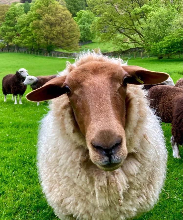 Crookabeck B&B Patterdale Luaran gambar