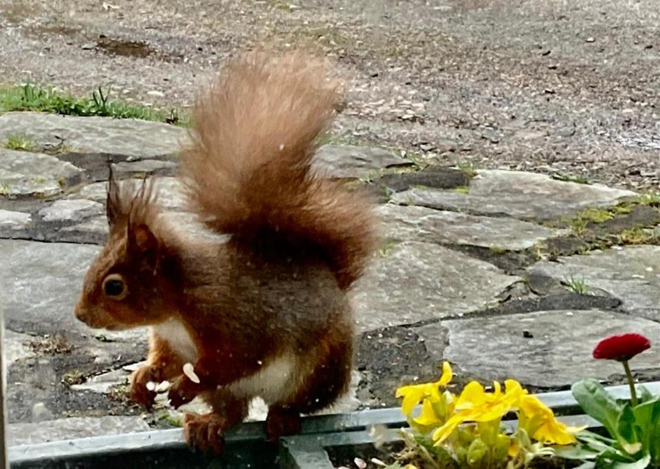 Crookabeck B&B Patterdale Luaran gambar