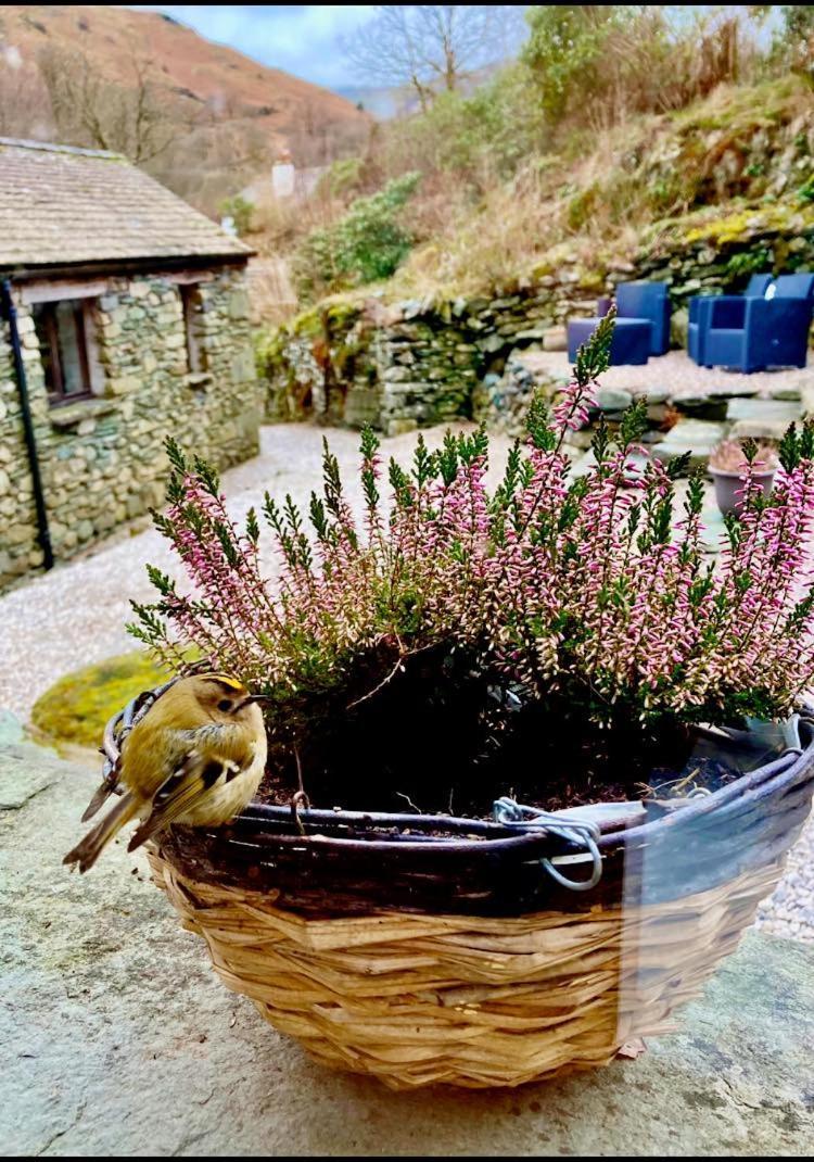 Crookabeck B&B Patterdale Luaran gambar
